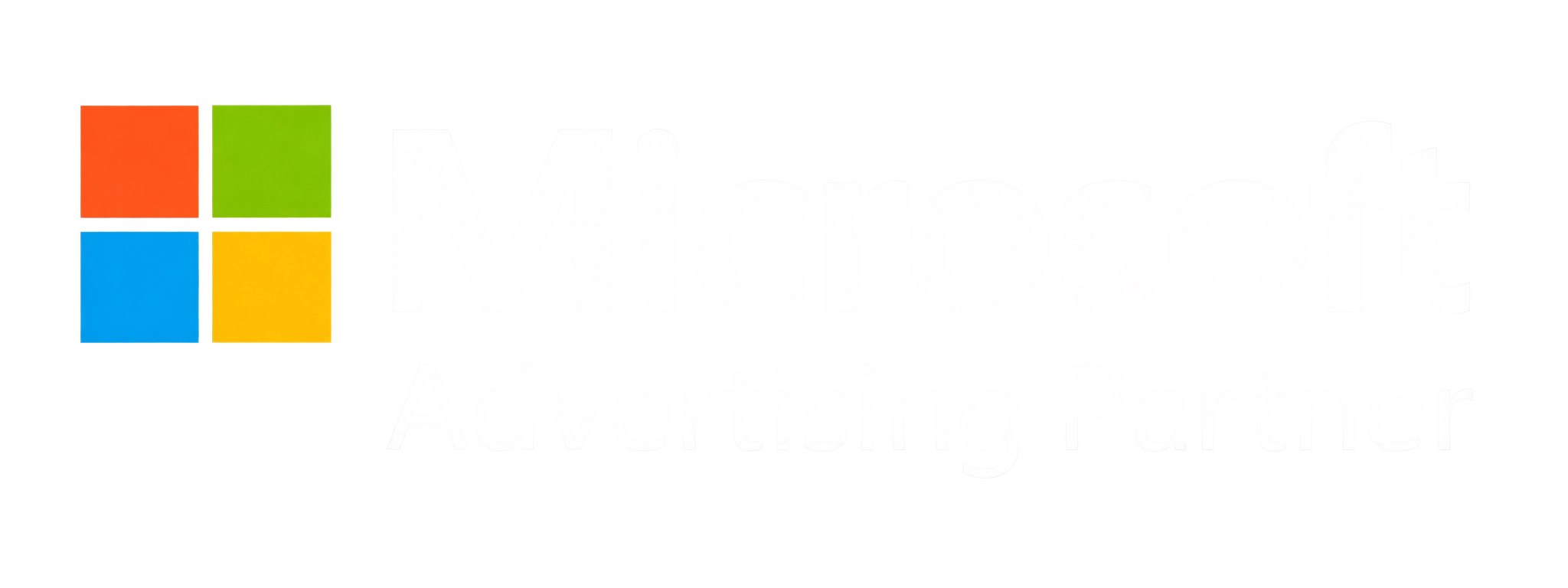 Microsoft Partner